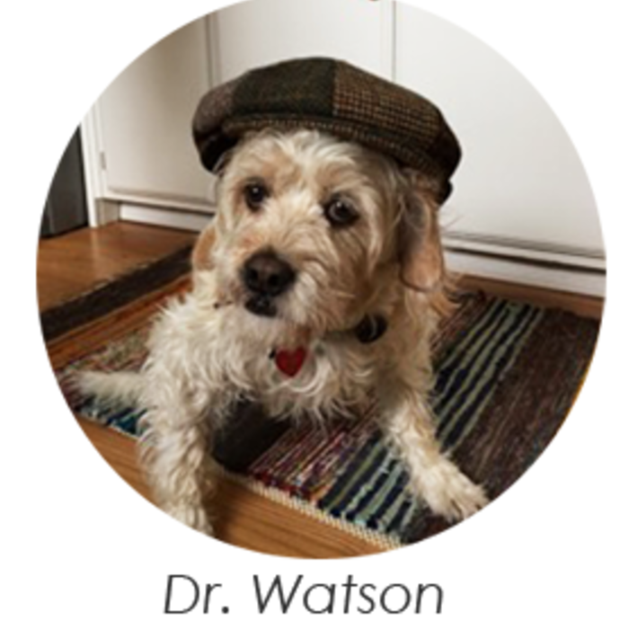 Dr. Watson
