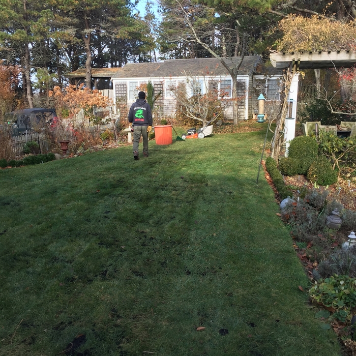 Small Lawn