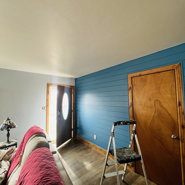 Interior repaint - Accent Wall