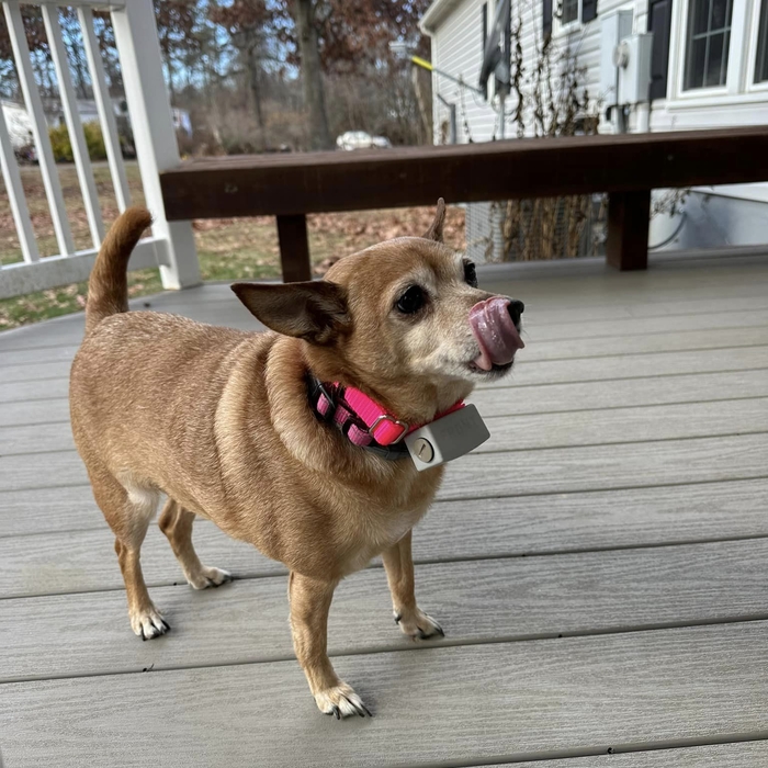 Bella