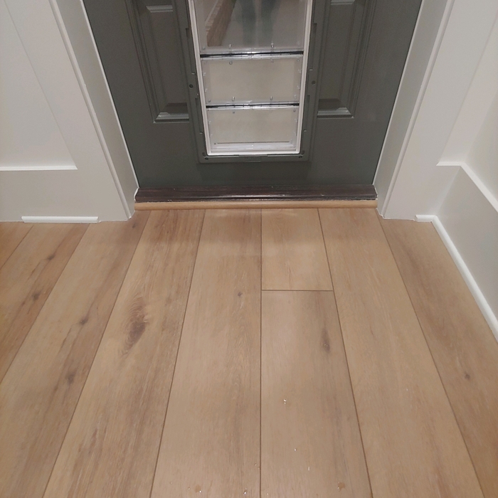 Installed dog door