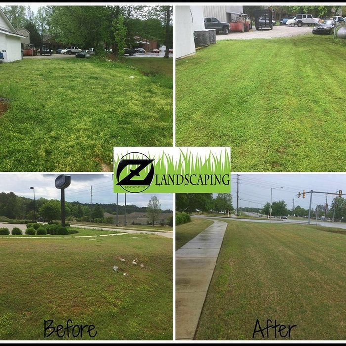 Before and After