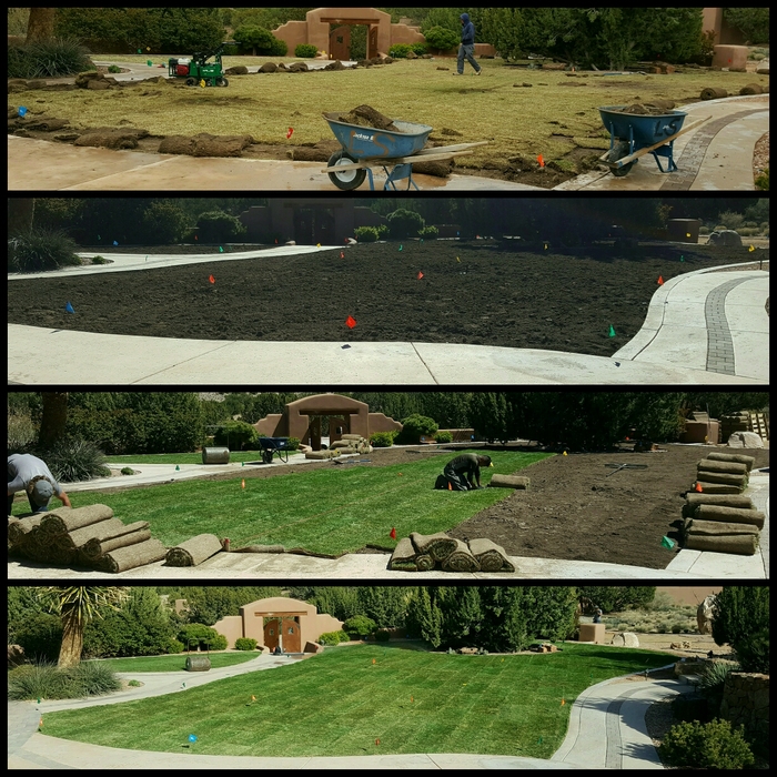 Large Sod Area
