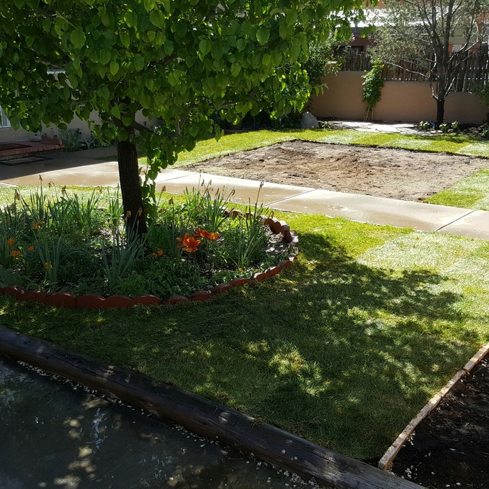 Sodding