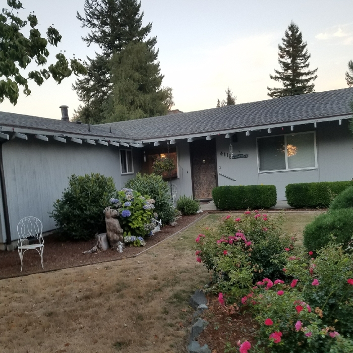 home painted