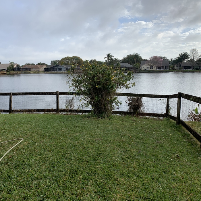 Pressure wash fence