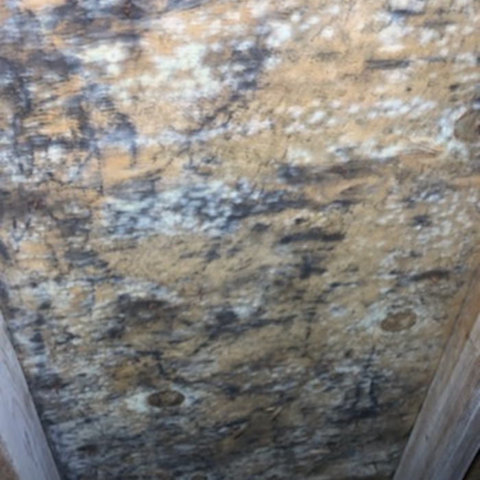 Attic before