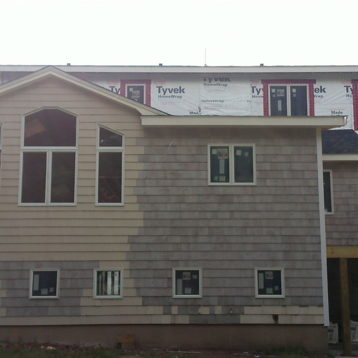 Back view