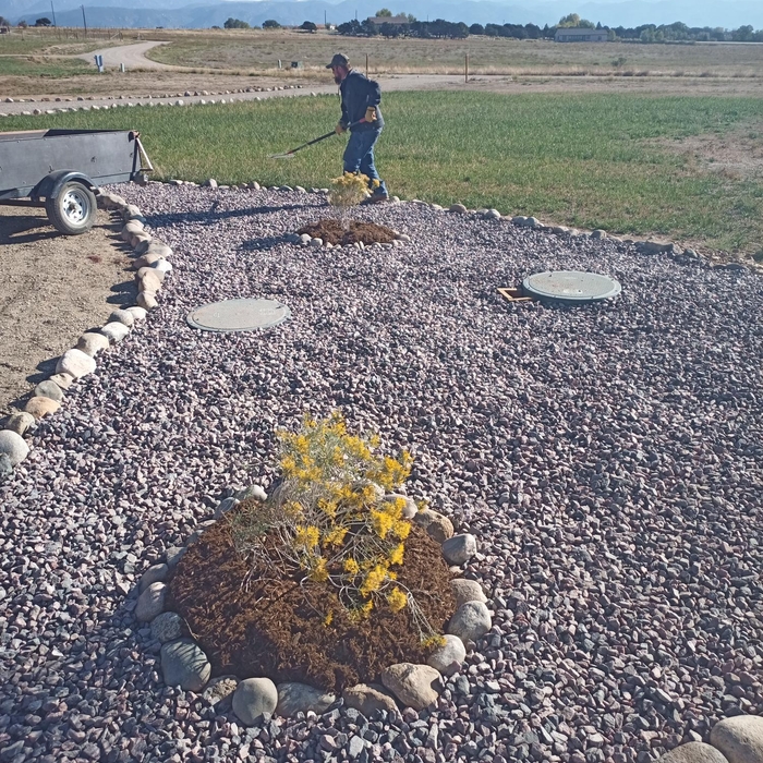 Beautifying a septic area