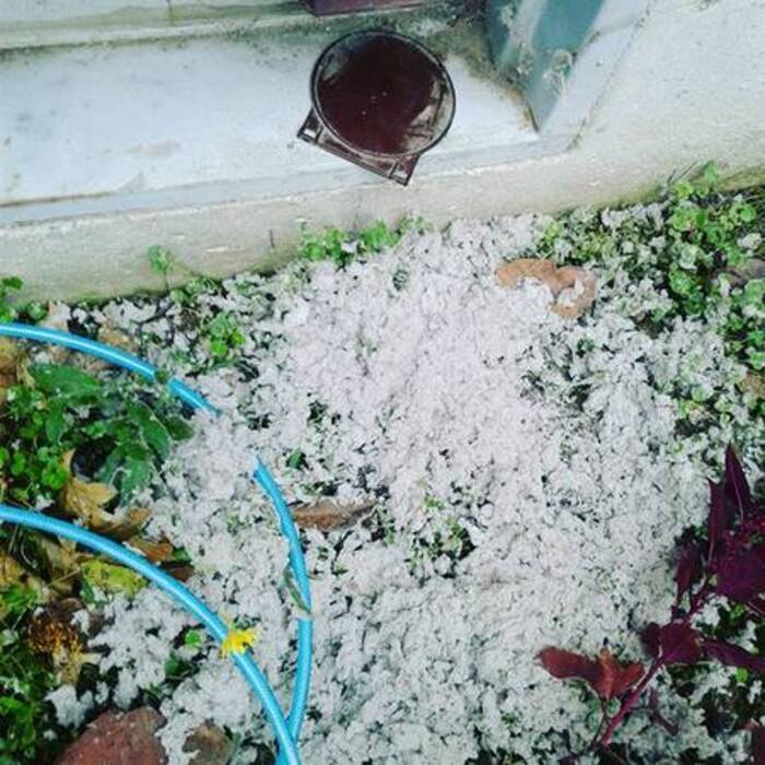Dryer Vent