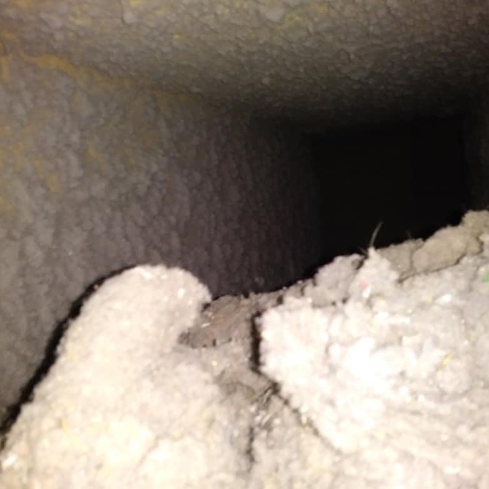Lint
