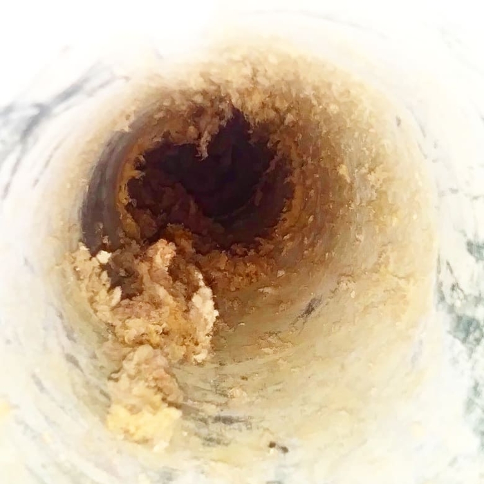 Dryer Vent