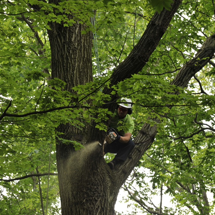 Climbing Work