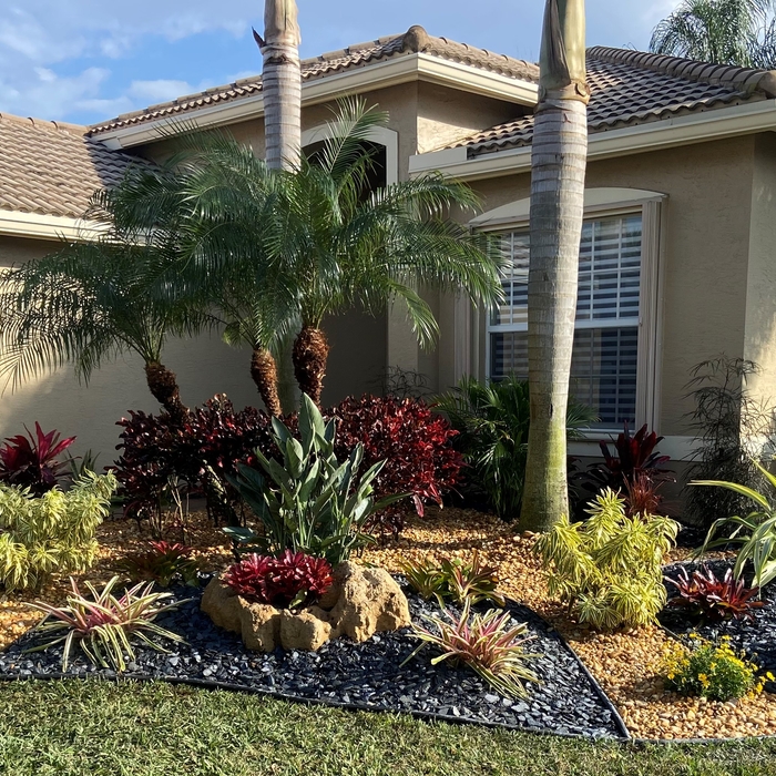 Front Yard Design