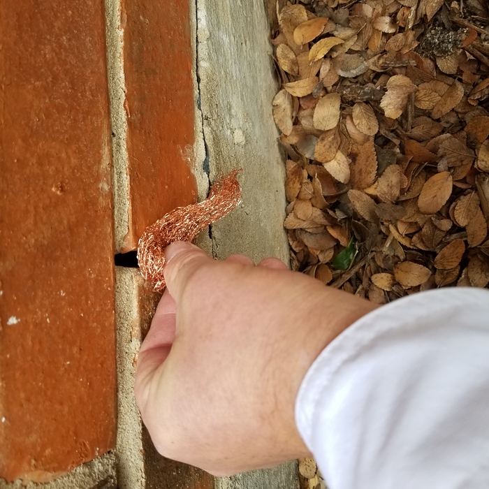 General pest services