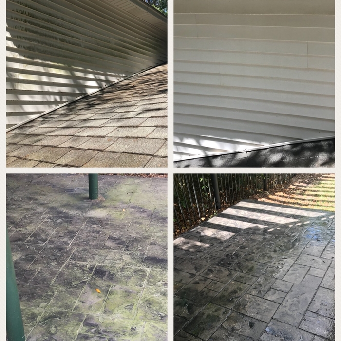 Before and After