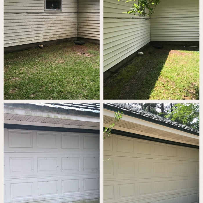 Before and After