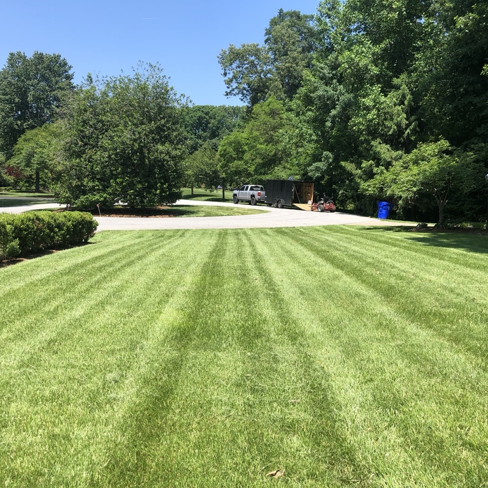 Lawn Maintenance
