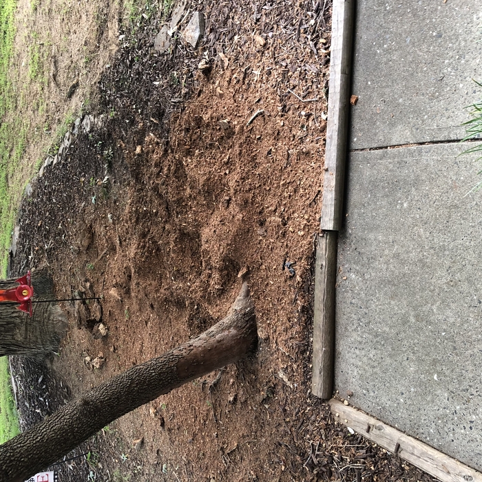 Job site filled with dirt