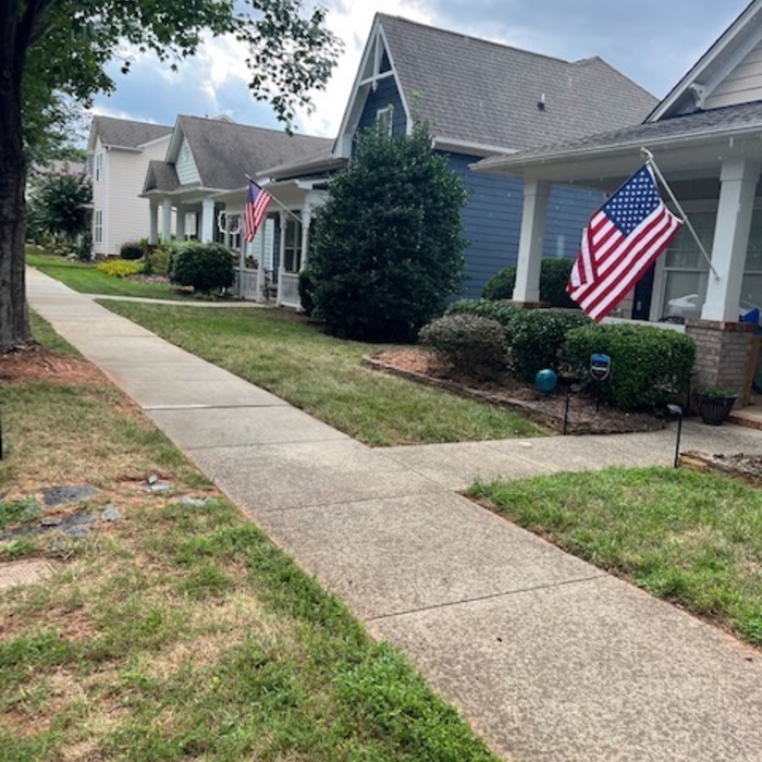 Graf Crape Myrtle Tree Removal