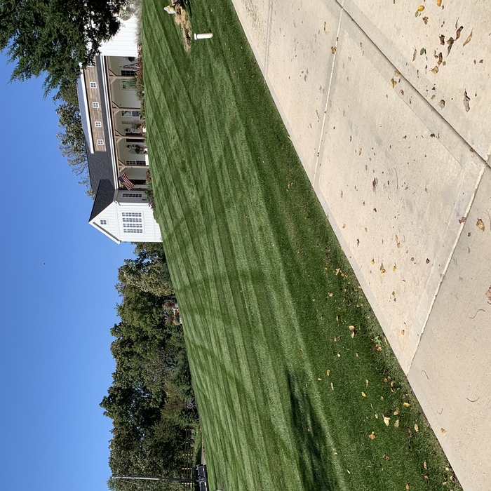 Mowing