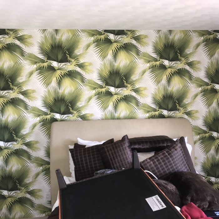 accent wall