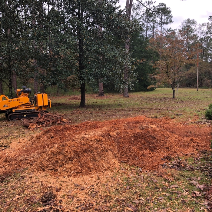 Stump Grinding, Removal - call for free estimate