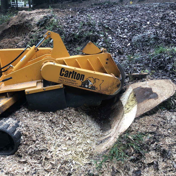 Landcaping re-do