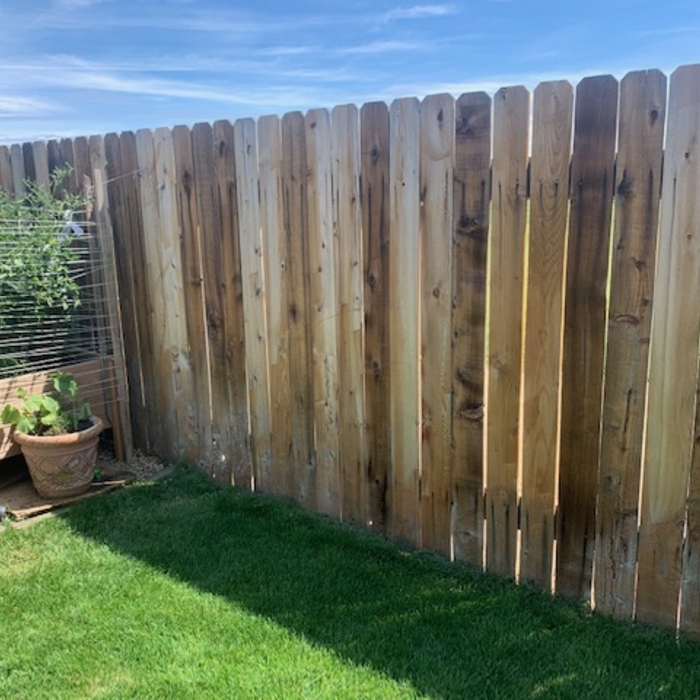 Fence Stain