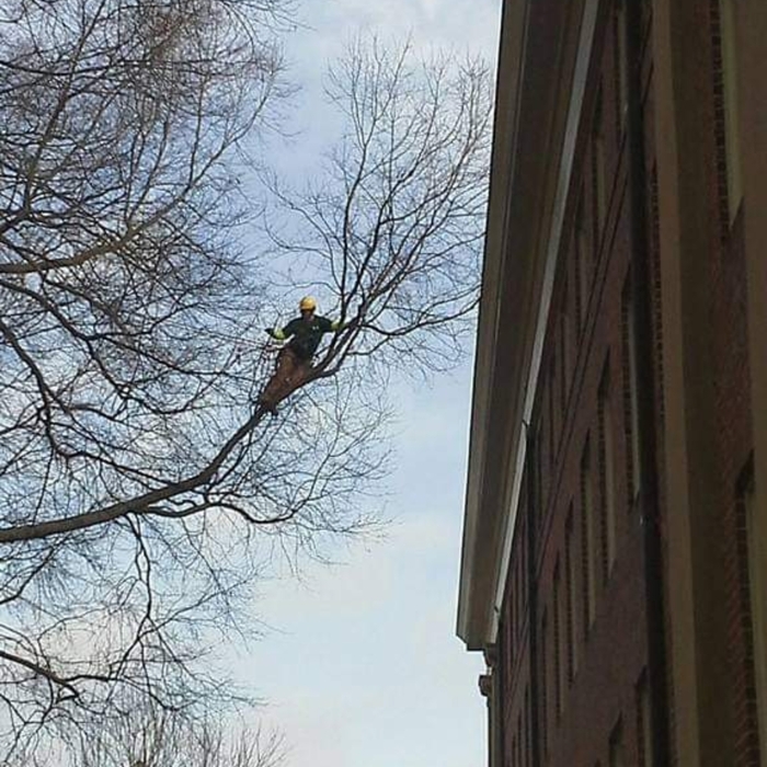 Weight Reduction Pruning