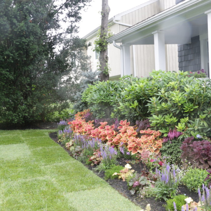 Garden Remodel, Stamford CT