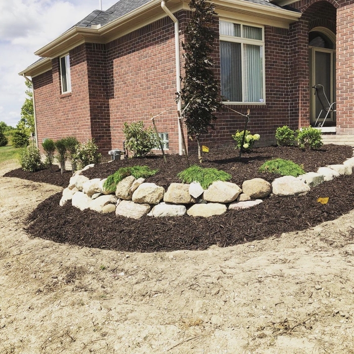 Landscape design