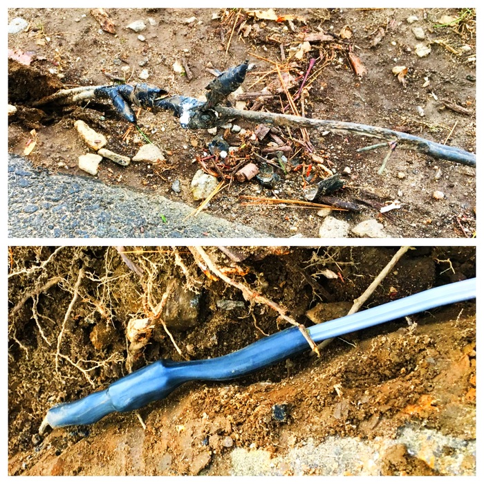 Broken driveway lights