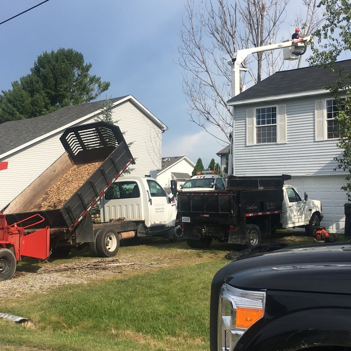 Residential Tree Removal