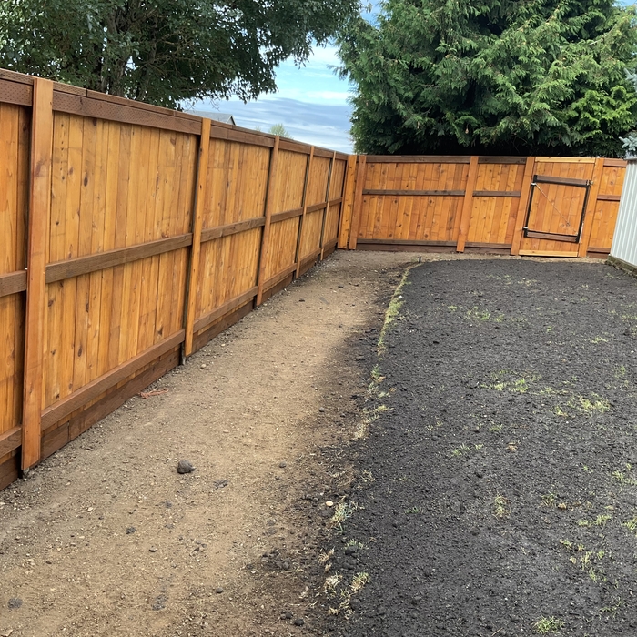 Fence