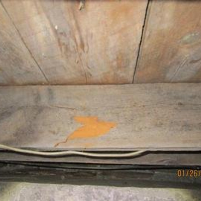 Wood Destroying Insect Damage