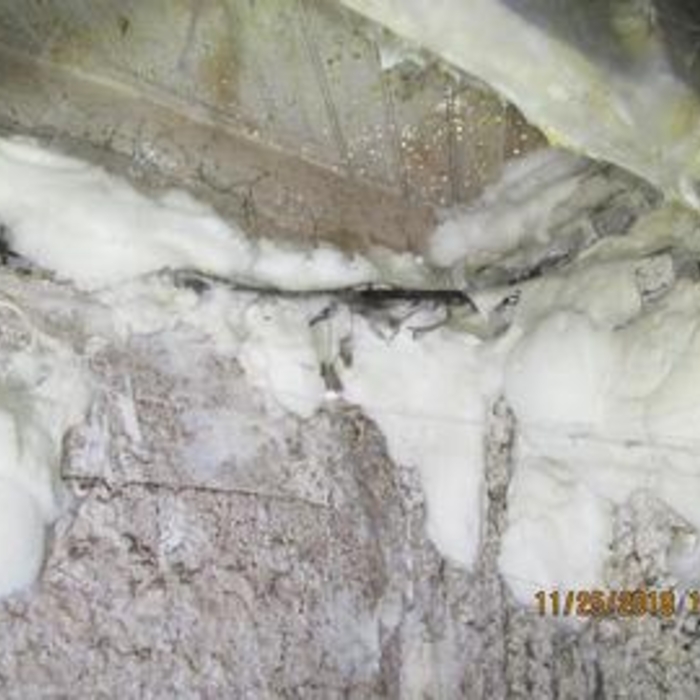 Mold-Like Substance