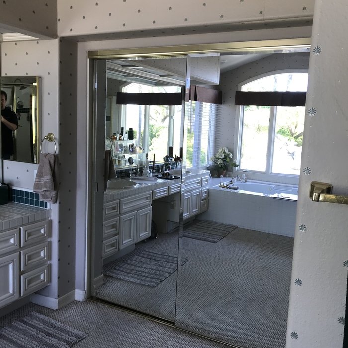 Bathroom Closet - Before