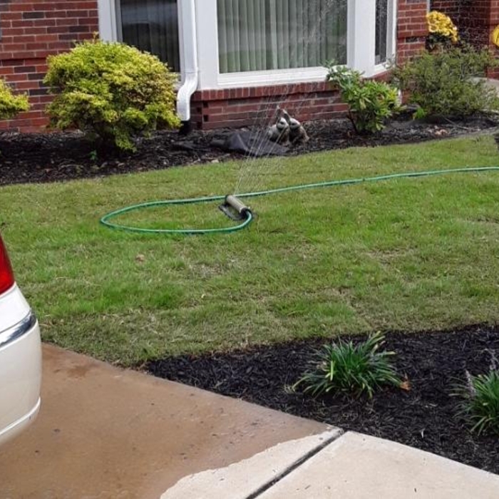 New Landscaping
