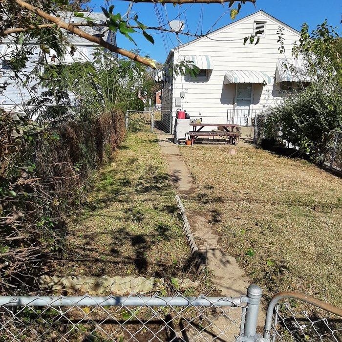 Yard clean up