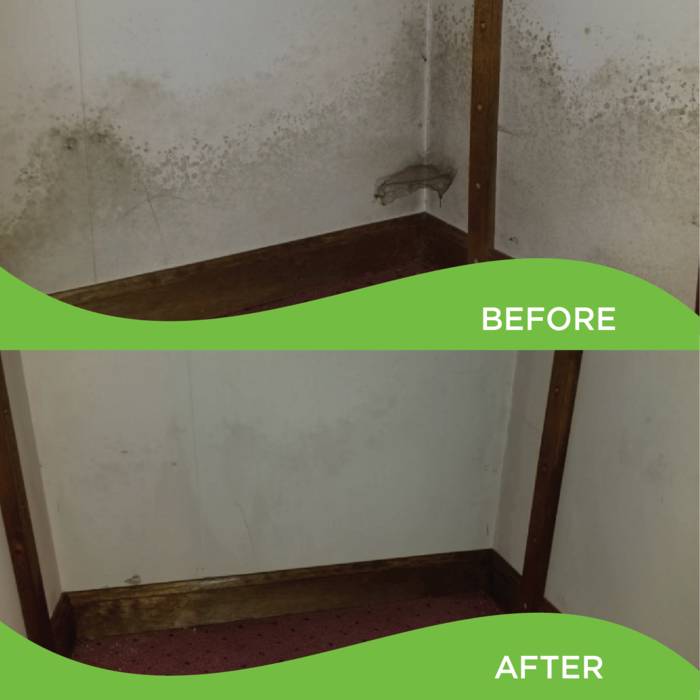 Before and After