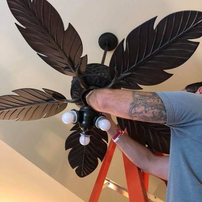 Ceiling fan