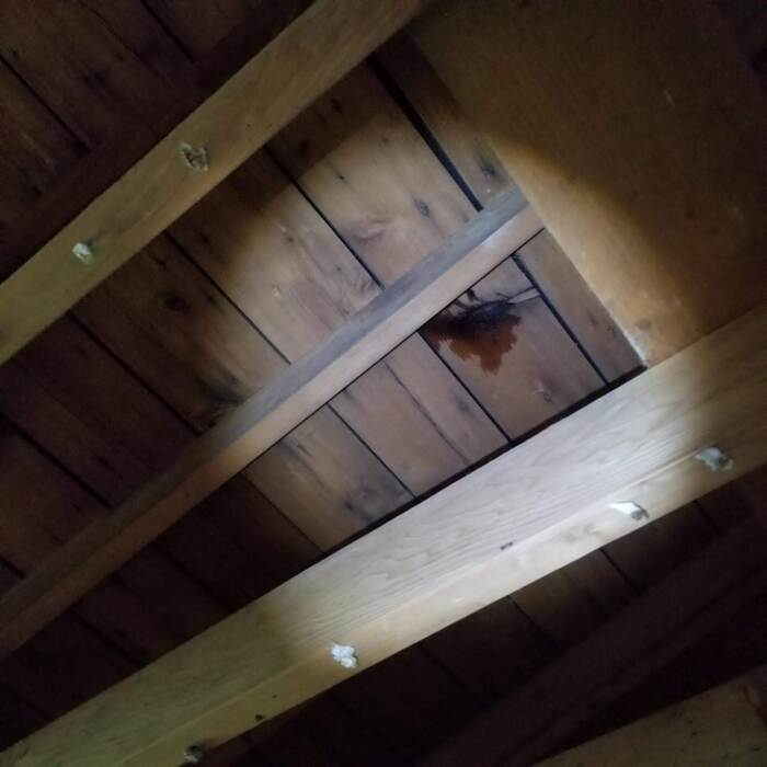 Roof leak spotted from underside of roof