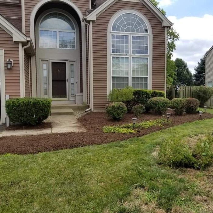 Mulch