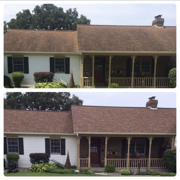 roof cleaning