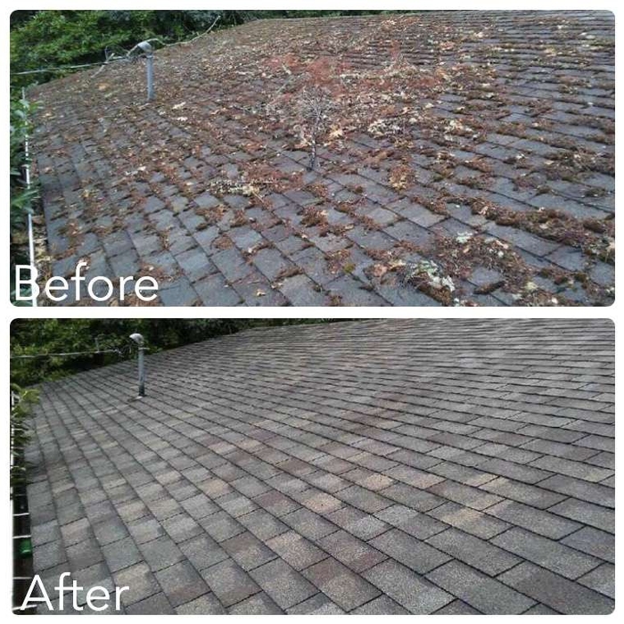 roof cleaning