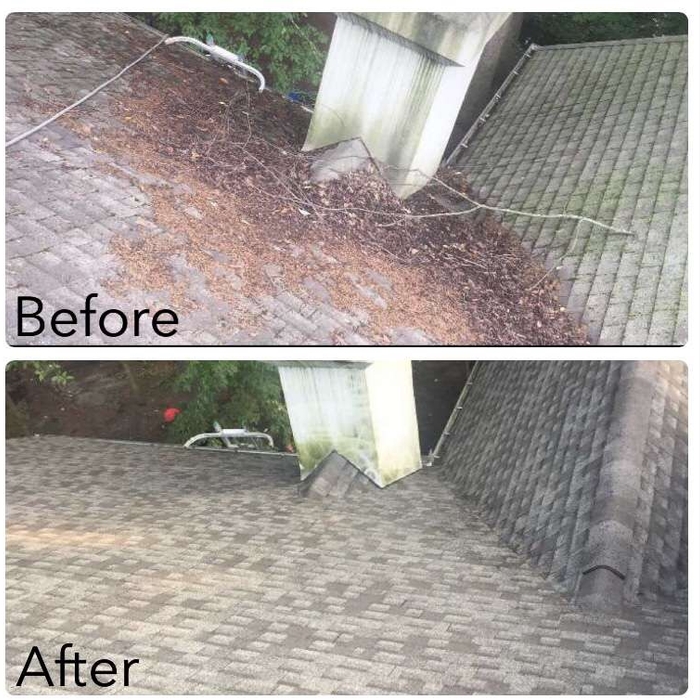 roof cleaning