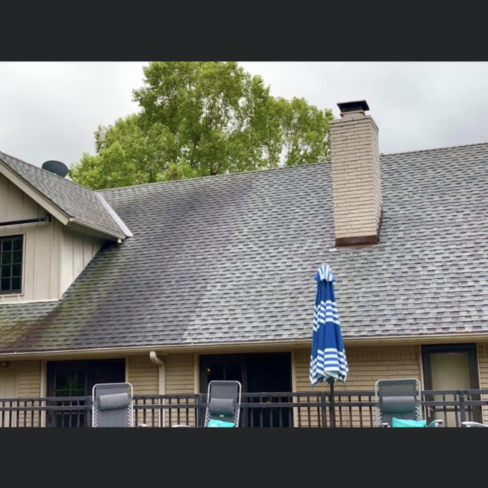 roof cleaning