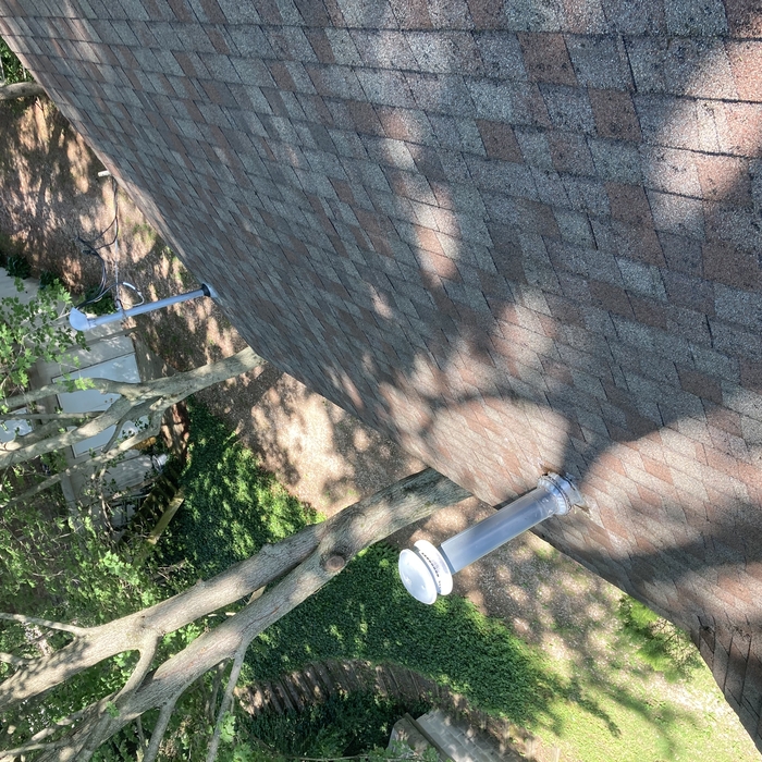 roof cleaning