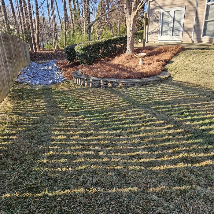 Fall Clean Up